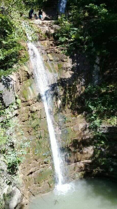 Ayancık Dibekli Köyü Resimleri 13