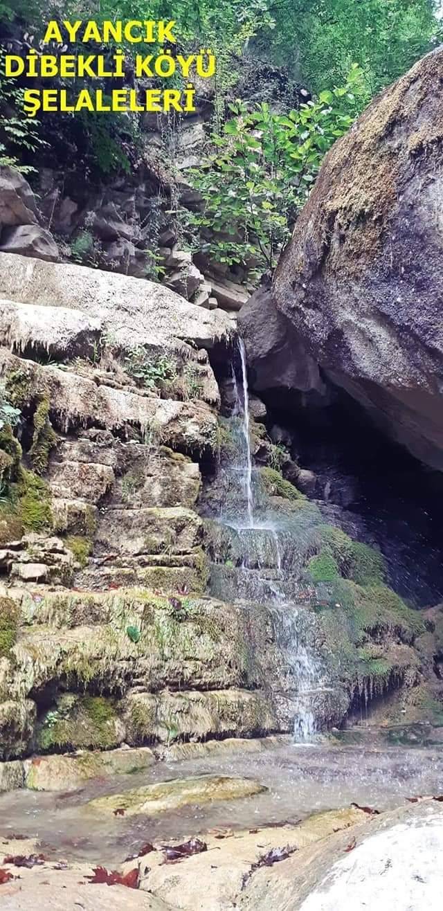 Ayancık Dibekli Köyü Resimleri 14