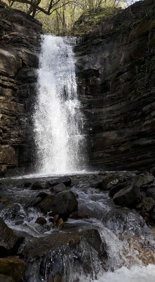 Ayancık Dibekli Köyü Resimleri 18