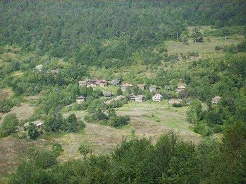 Ayancık Dibekli Köyü Resimleri 2