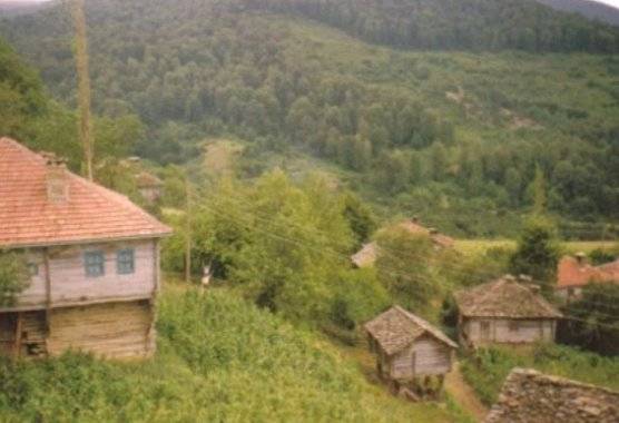 Ayancık Dibekli Köyü Resimleri 3