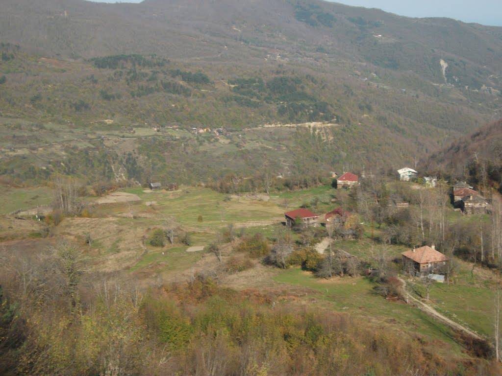 Ayancık Dibekli Köyü Resimleri 4