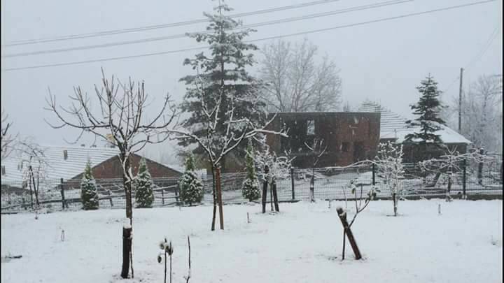 Ayancık Dibekli Köyü Resimleri 6