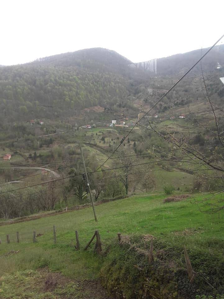 Ayancık Dibekli Köyü Resimleri 7