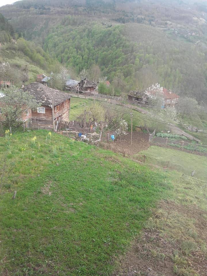 Ayancık Dibekli Köyü Resimleri 8