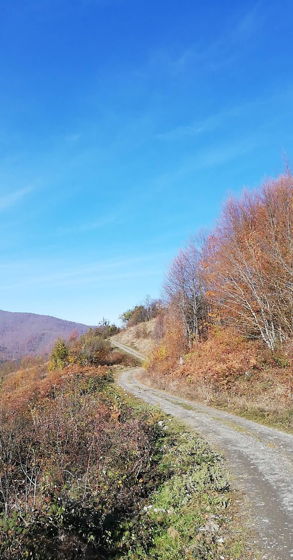 Ayancık Dibekli Köyü Resimleri 9