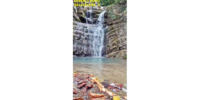 Ayancık Dibekli Köyü Resimleri