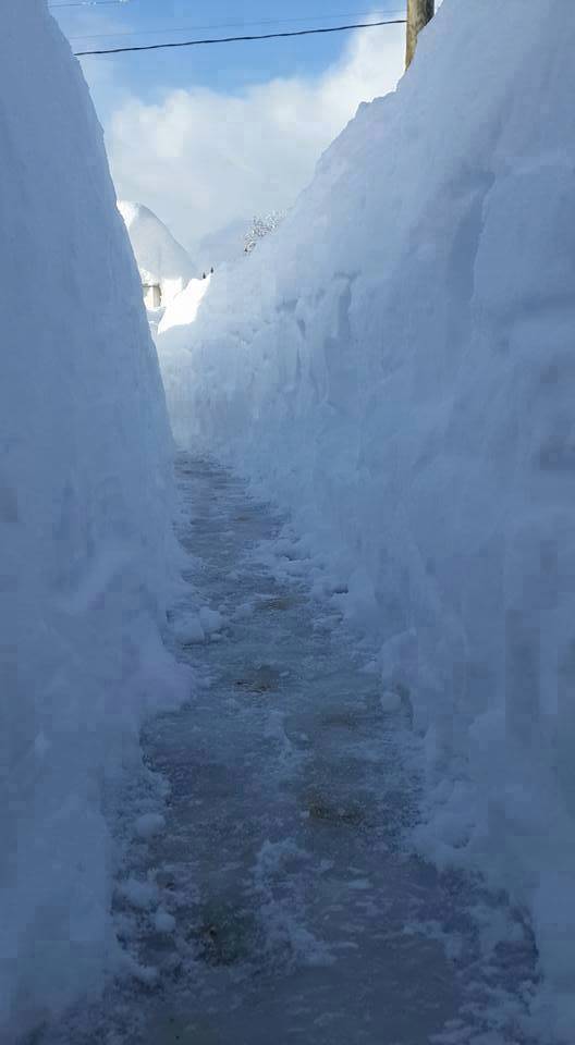 Ayancık Doğanlı Köyü Resimleri 4