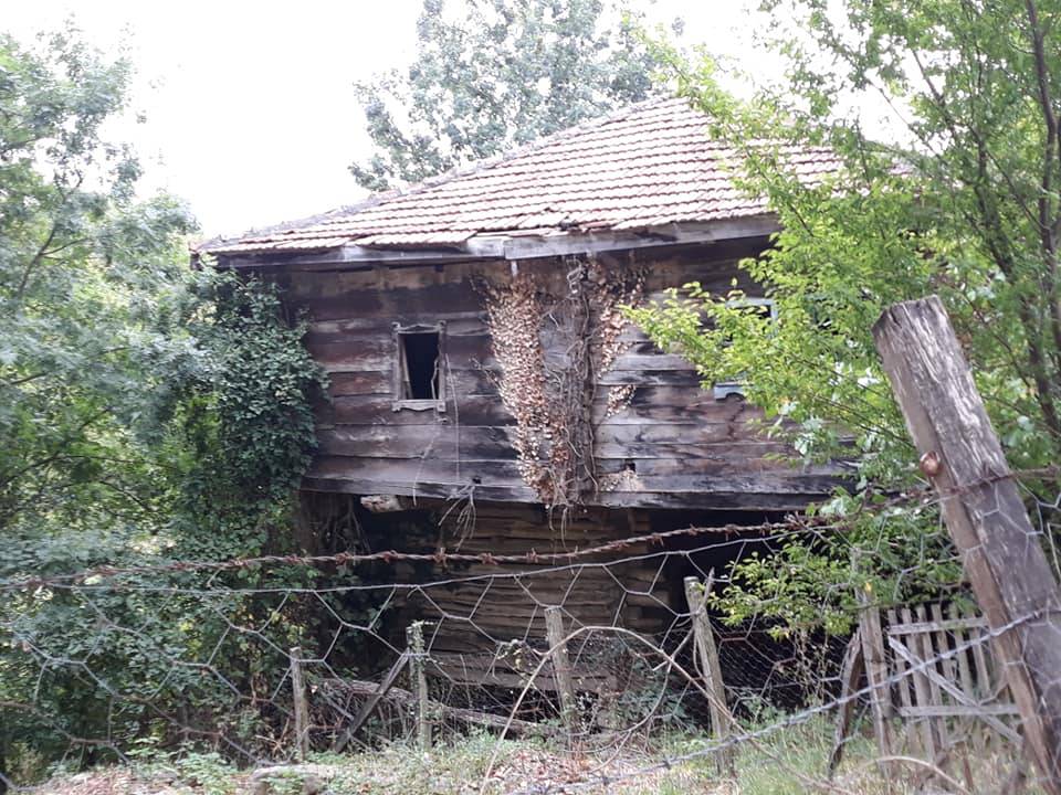 Ayancık Doğanlı Köyü Resimleri 6