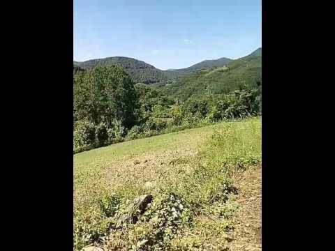 Ayancık Fındıklı Köyü Resimleri 1