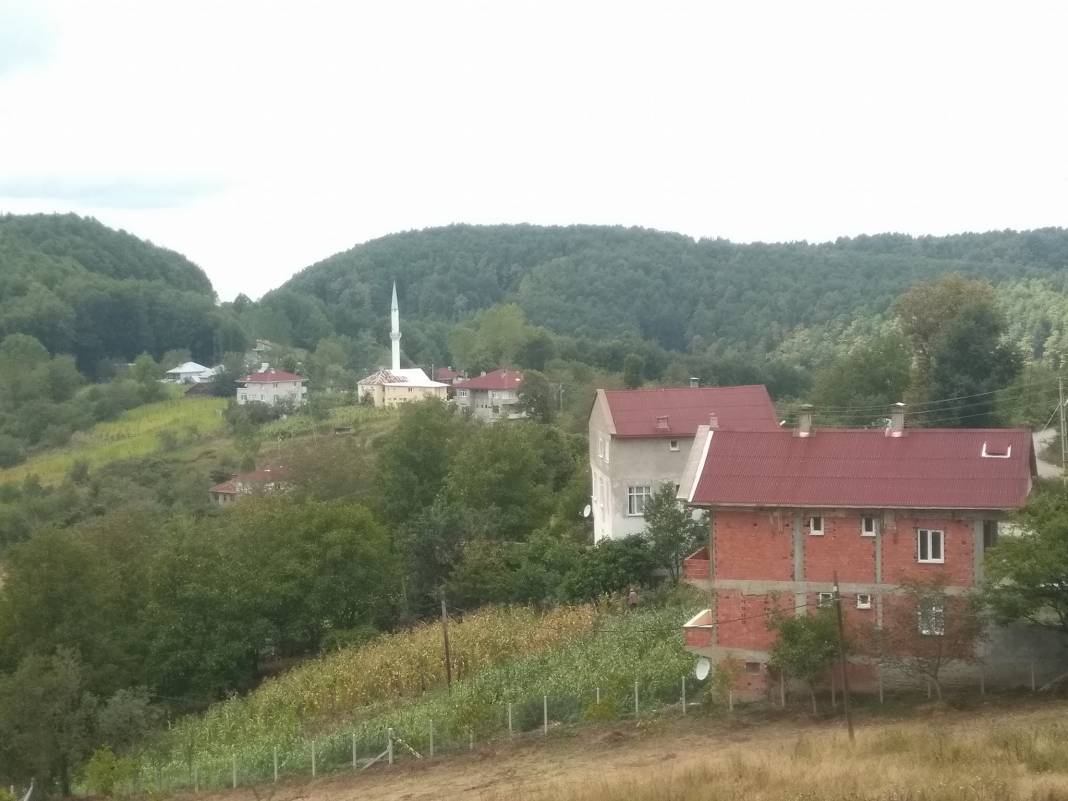 Ayancık Göldağı Köyü Resimleri 1
