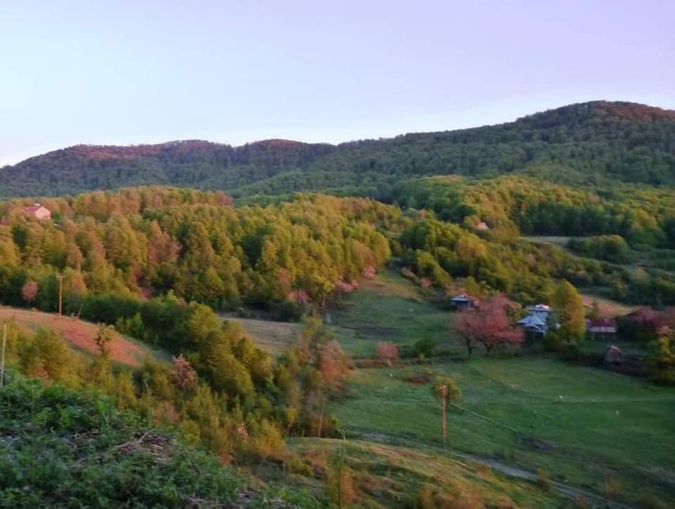 Ayancık Göldağı Köyü Resimleri 10