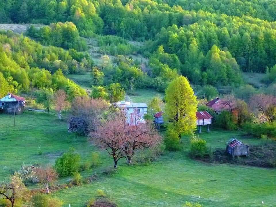 Ayancık Göldağı Köyü Resimleri 12