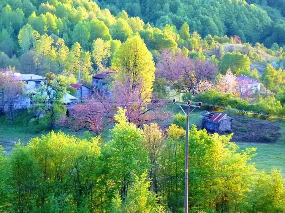 Ayancık Göldağı Köyü Resimleri 9