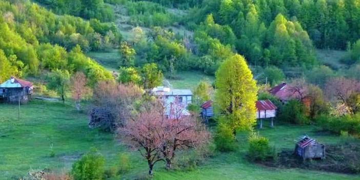 Ayancık Göldağı Köyü Resimleri