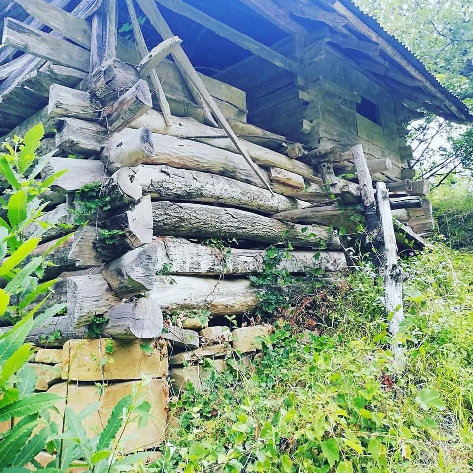 Ayancık Gürsökü Köyü Resimleri 17