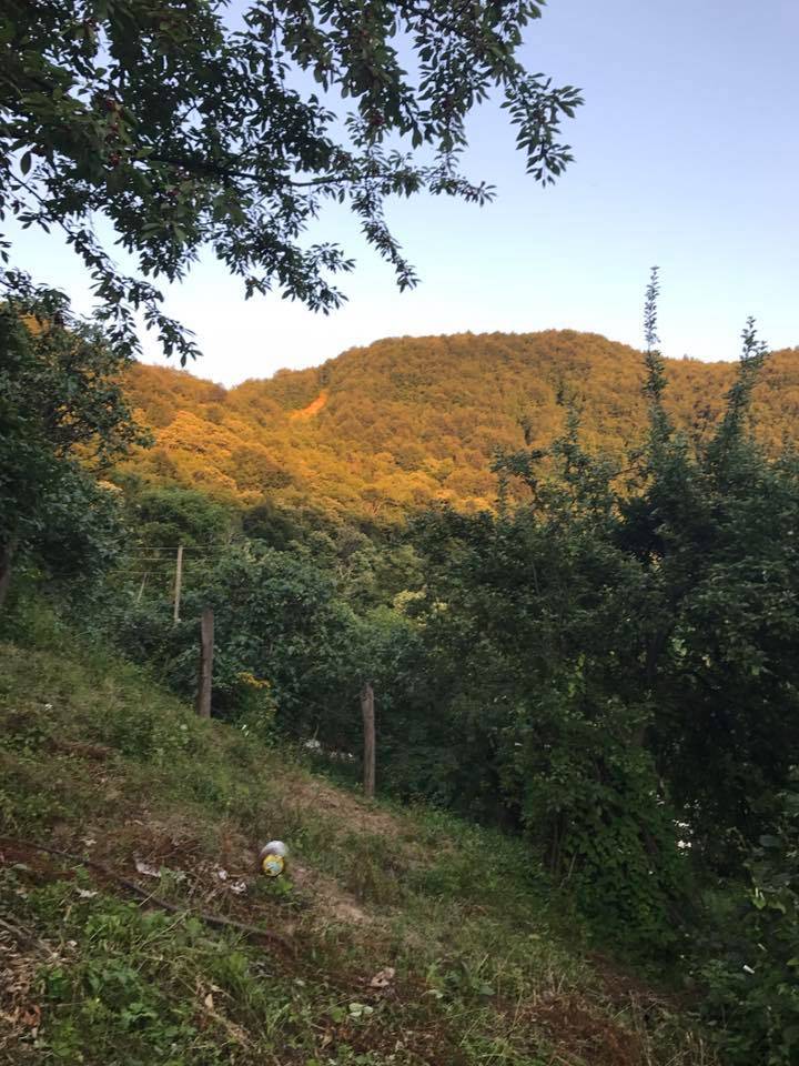 Ayancık Gürsökü Köyü Resimleri 6