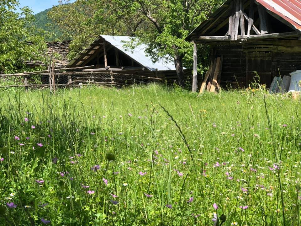 Ayancık Gürsökü Köyü Resimleri 7