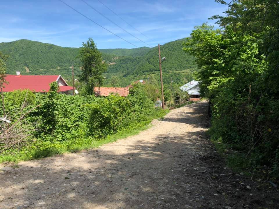 Ayancık Gürsökü Köyü Resimleri 8