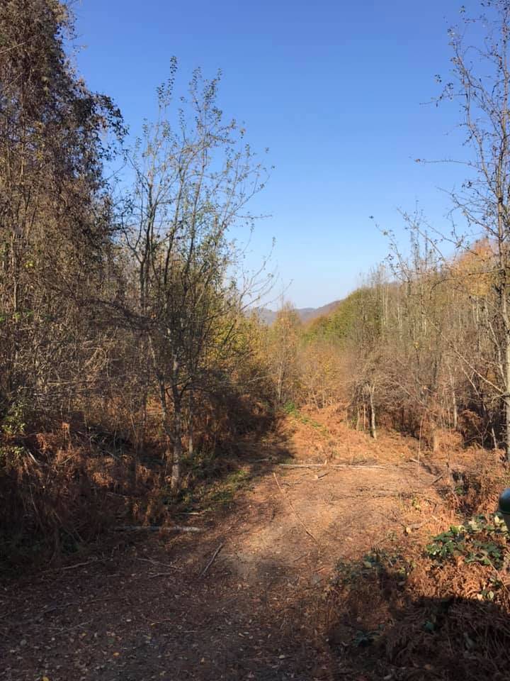 Ayancık Gürsökü Köyü Resimleri 9