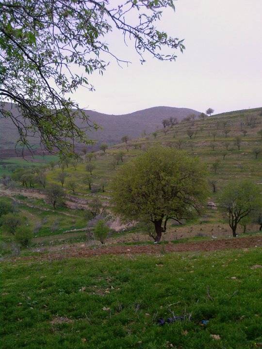 Gercüş Babnir Köyü Resimleri 1