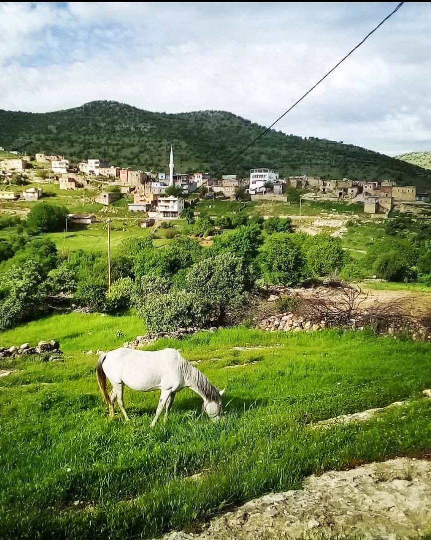Gercüş Bağlıca Köyü Resimleri 11