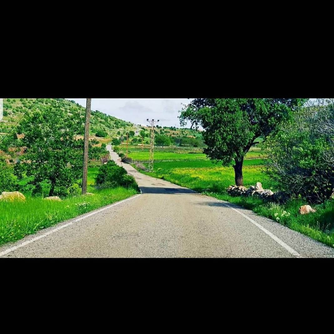 Gercüş Bağlıca Köyü Resimleri 14