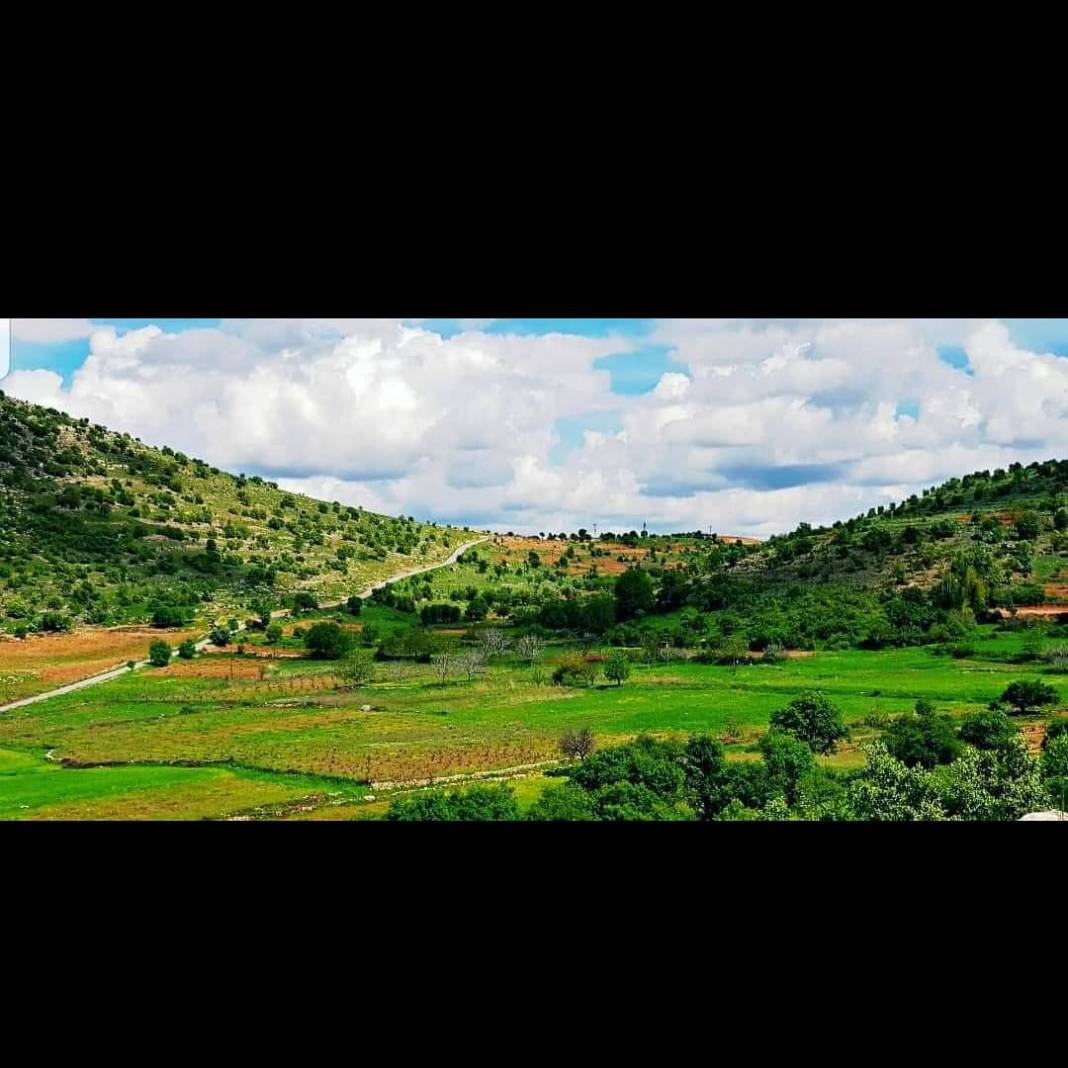 Gercüş Bağlıca Köyü Resimleri 15