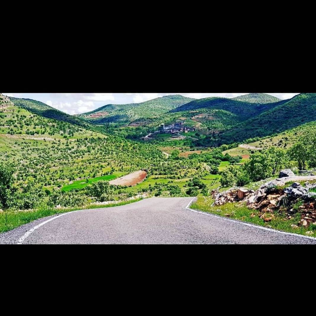 Gercüş Bağlıca Köyü Resimleri 16