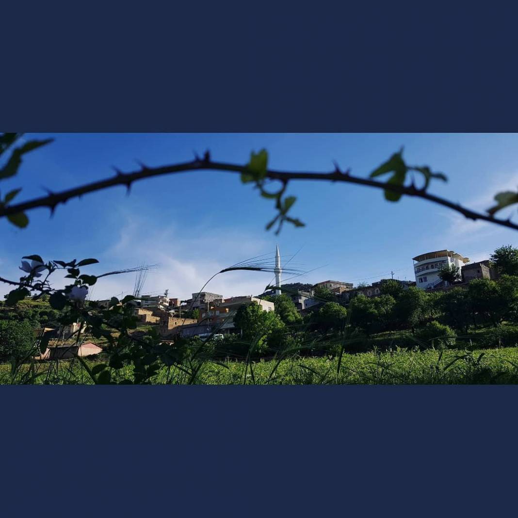 Gercüş Bağlıca Köyü Resimleri 17