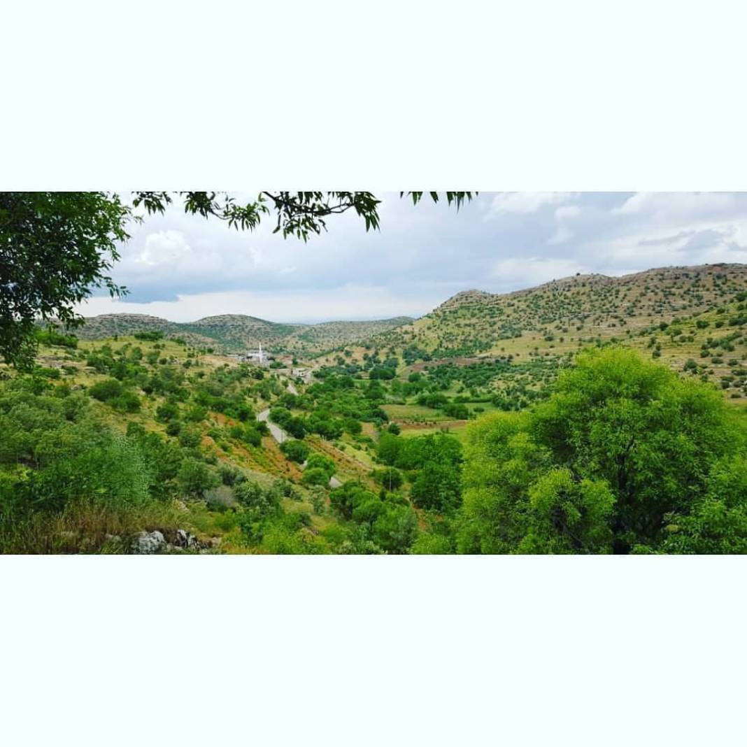 Gercüş Bağlıca Köyü Resimleri 18