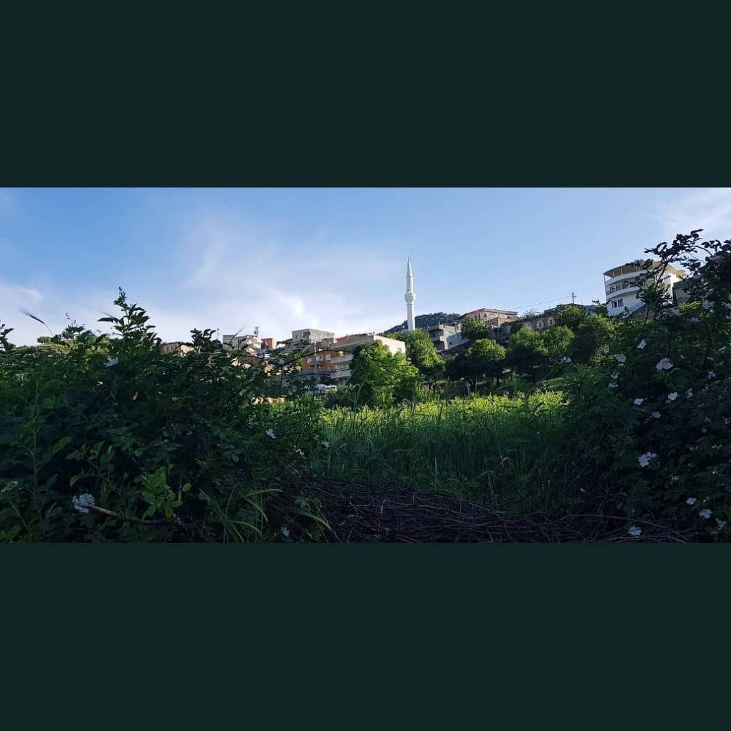 Gercüş Bağlıca Köyü Resimleri 19