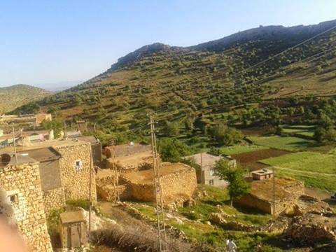 Gercüş Bağlıca Köyü Resimleri 2