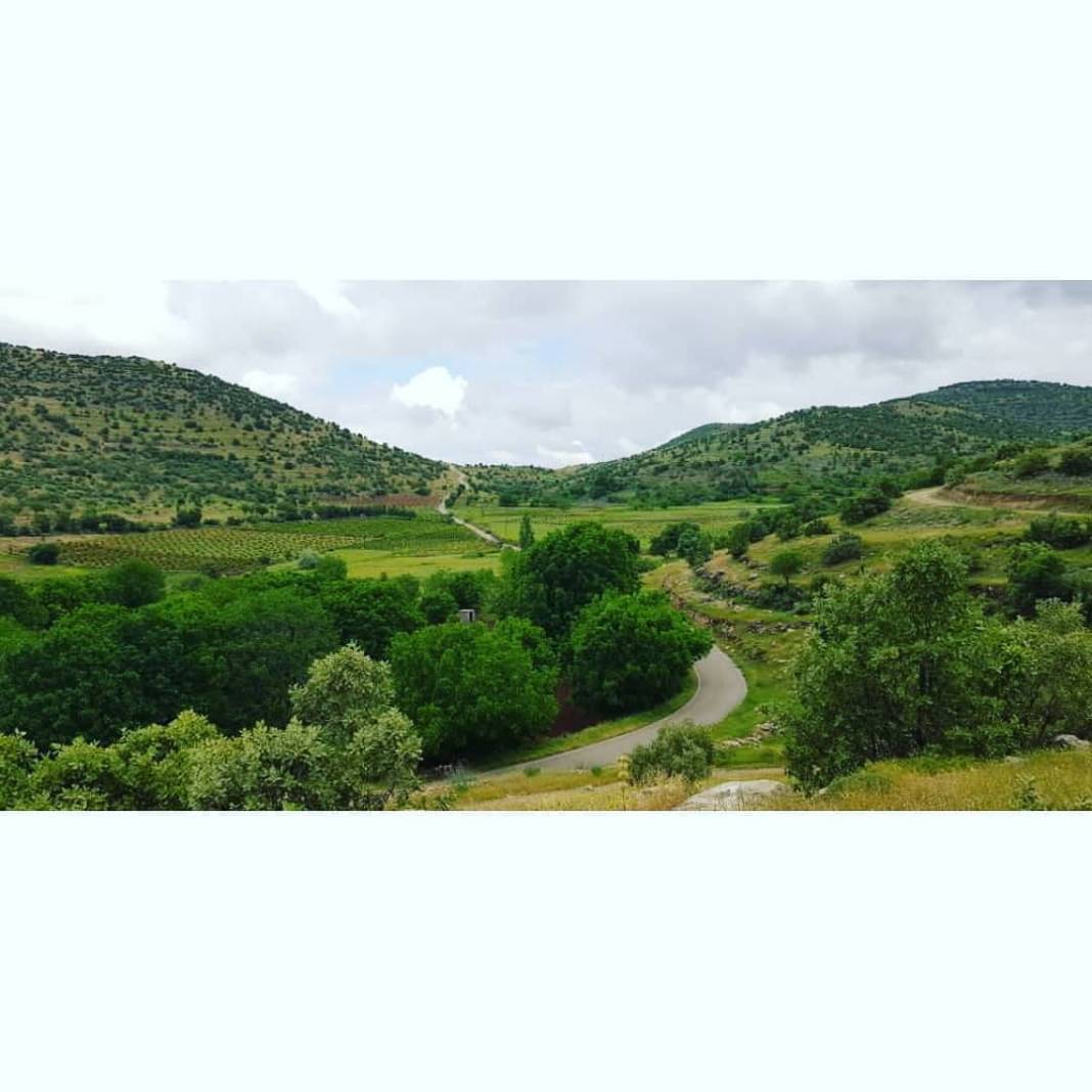 Gercüş Bağlıca Köyü Resimleri 21