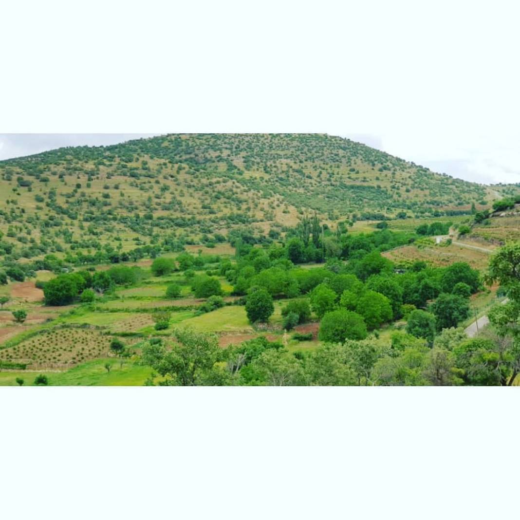 Gercüş Bağlıca Köyü Resimleri 22