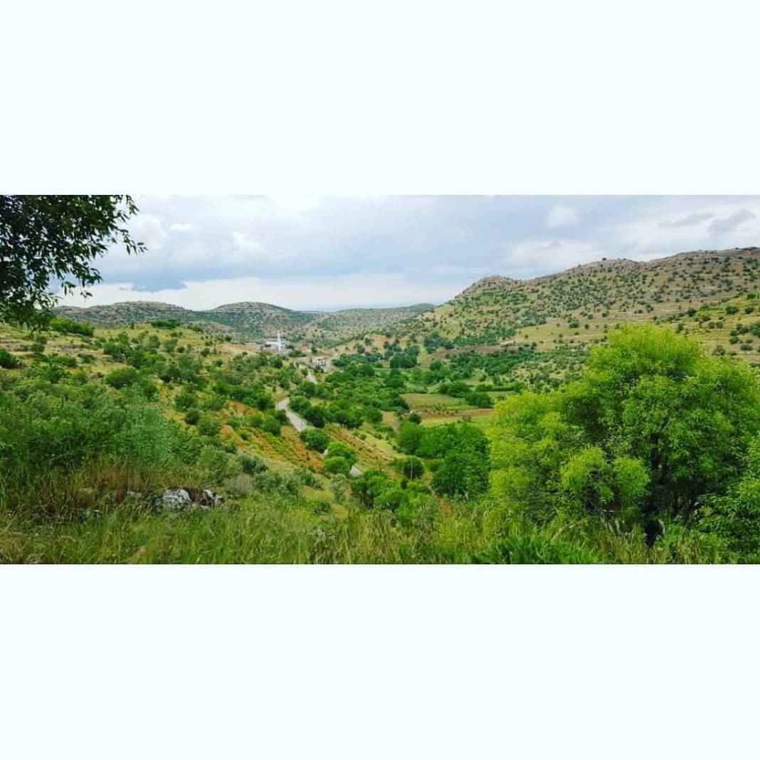 Gercüş Bağlıca Köyü Resimleri 23