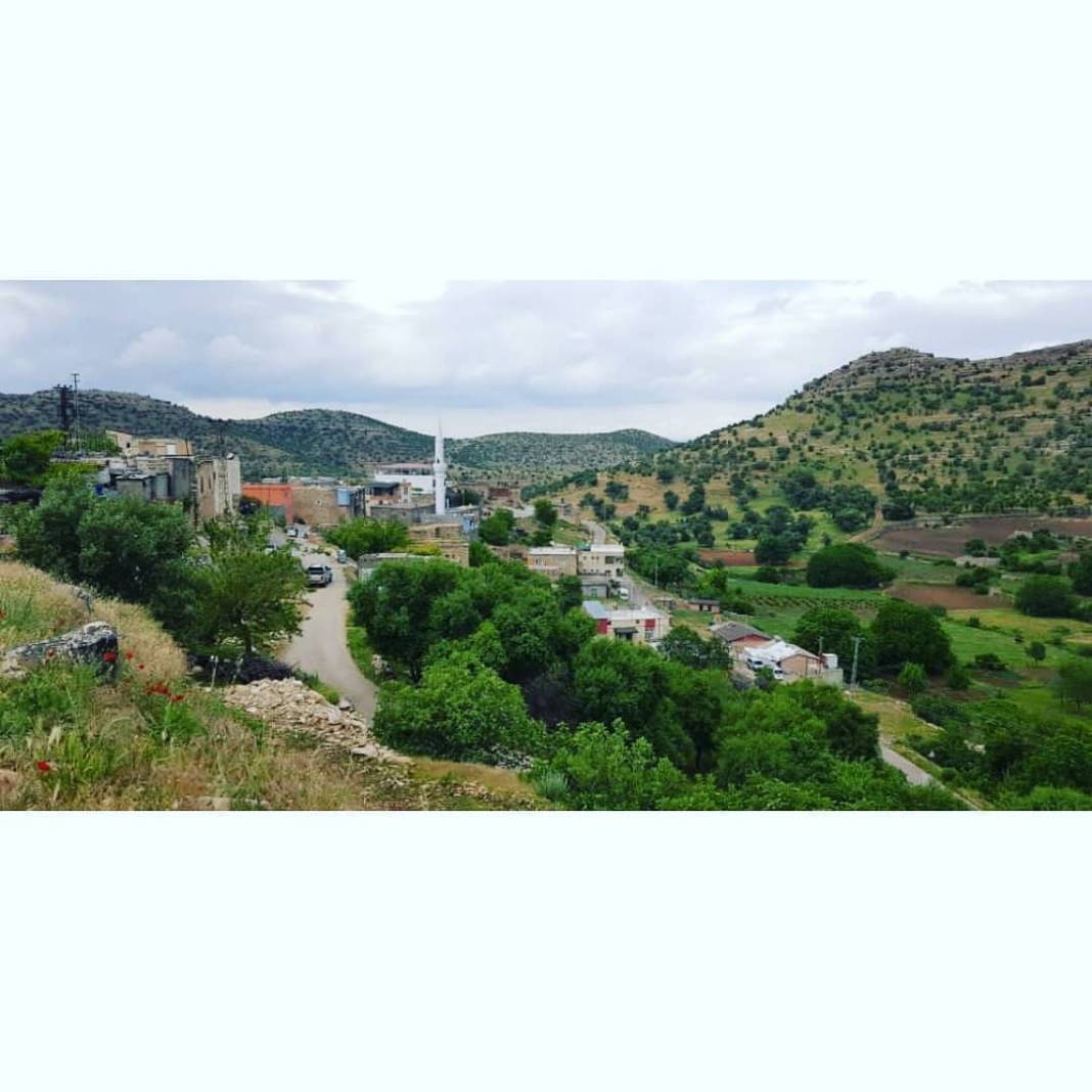 Gercüş Bağlıca Köyü Resimleri 24