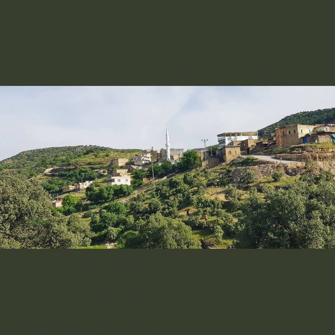 Gercüş Bağlıca Köyü Resimleri 26