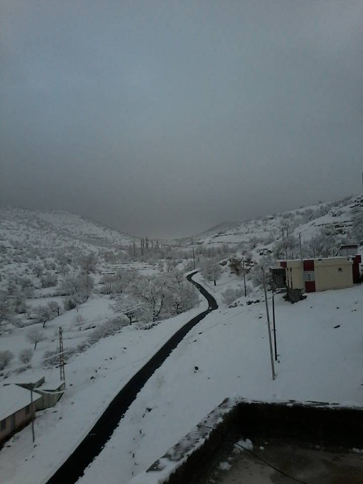 Gercüş Bağlıca Köyü Resimleri 3