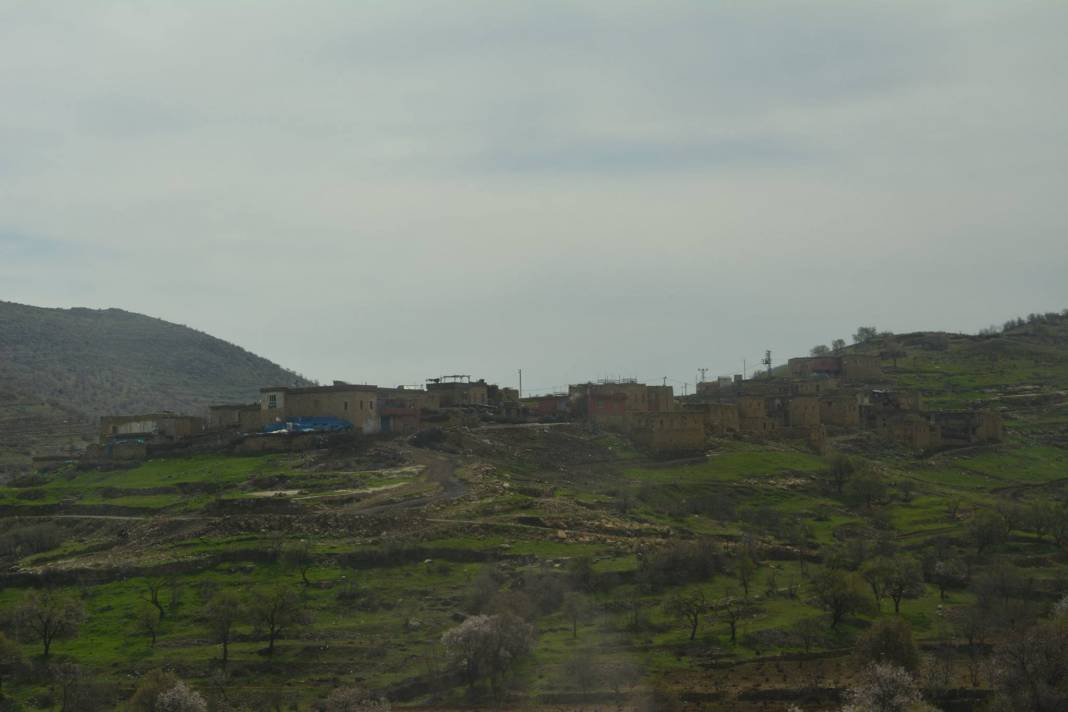 Gercüş Bağlıca Köyü Resimleri 4