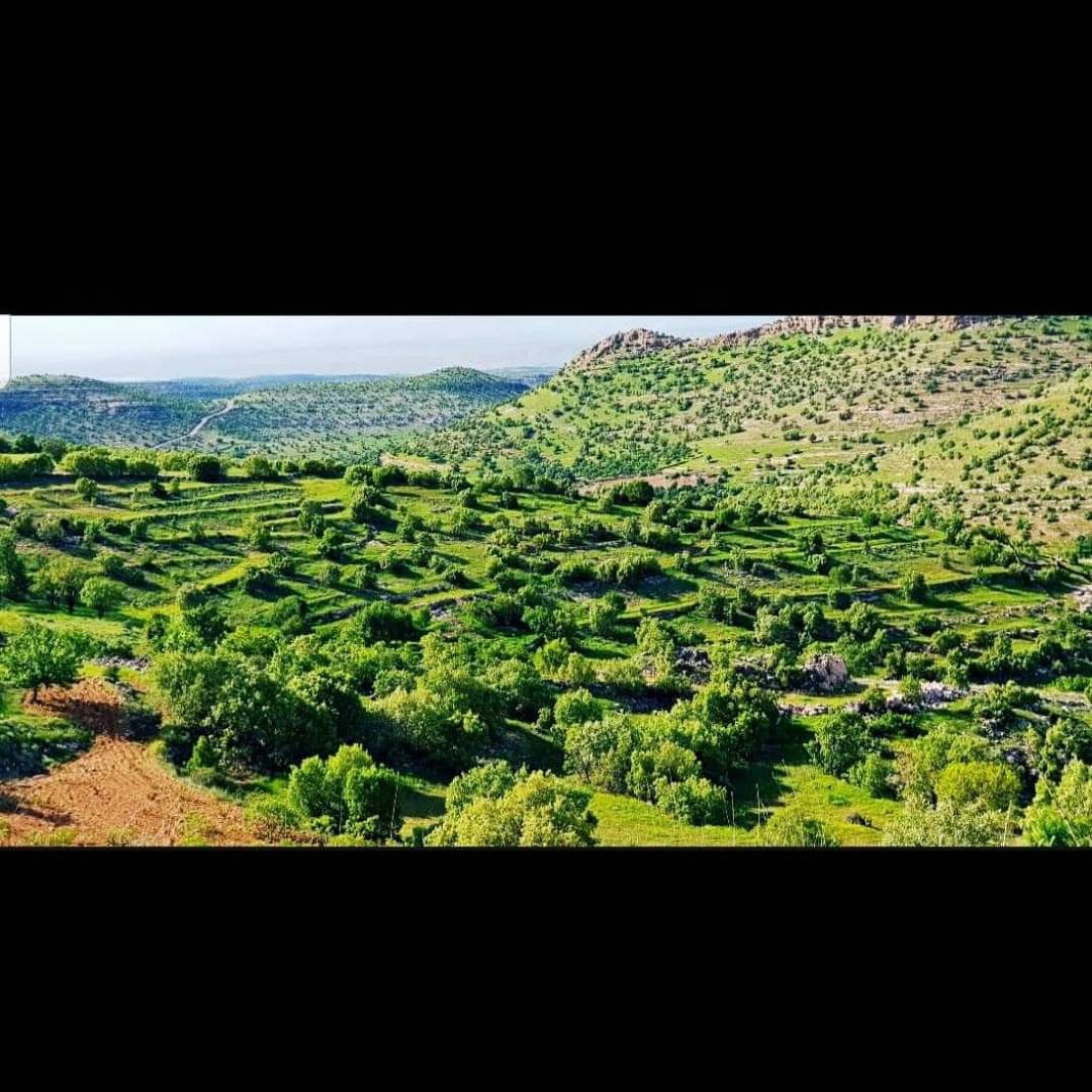 Gercüş Bağlıca Köyü Resimleri 7