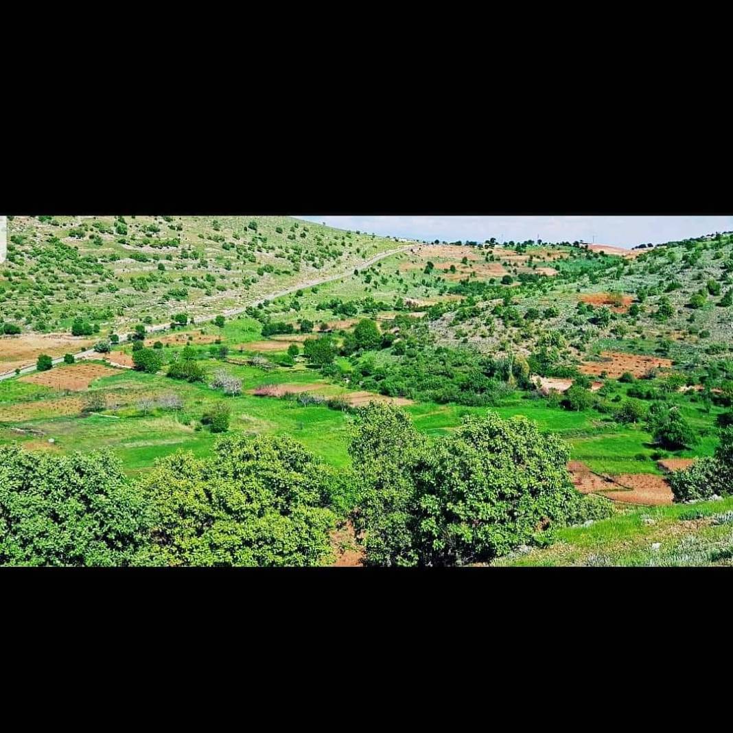 Gercüş Bağlıca Köyü Resimleri 8