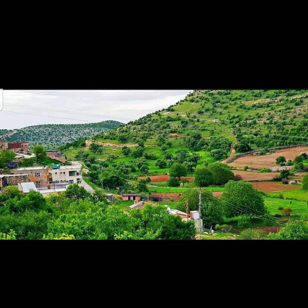 Gercüş Bağlıca Köyü Resimleri 9