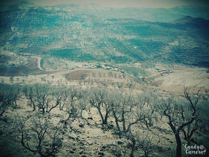 Gercüş Bağözü Köyü Resimleri 4