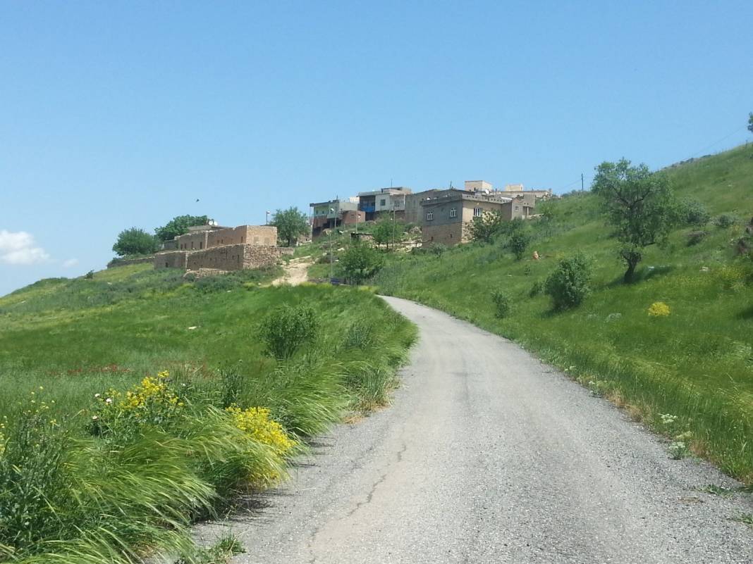 Gercüş Başarköy Köyü Resimleri 1