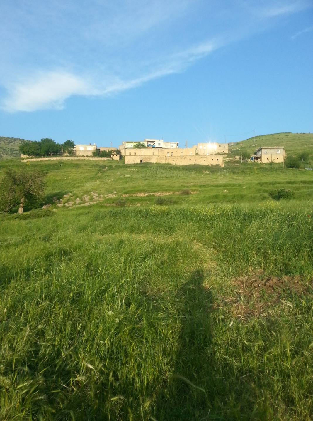 Gercüş Başarköy Köyü Resimleri 2