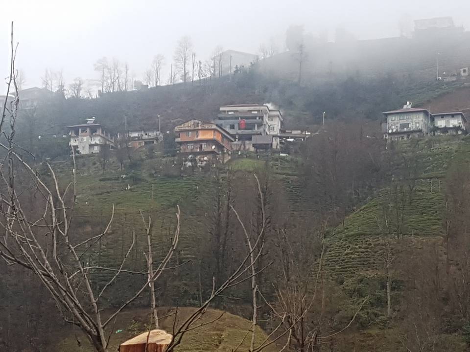 Çayeli Aşıklar Köyü Resimleri 10