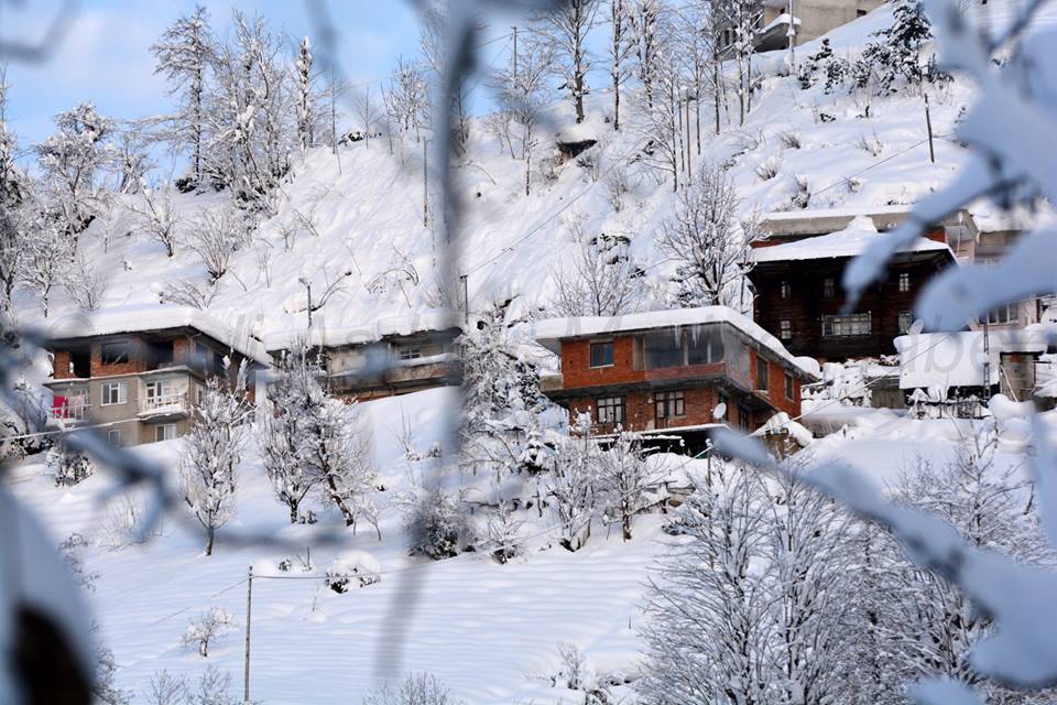 Çayeli Aşıklar Köyü Resimleri 11