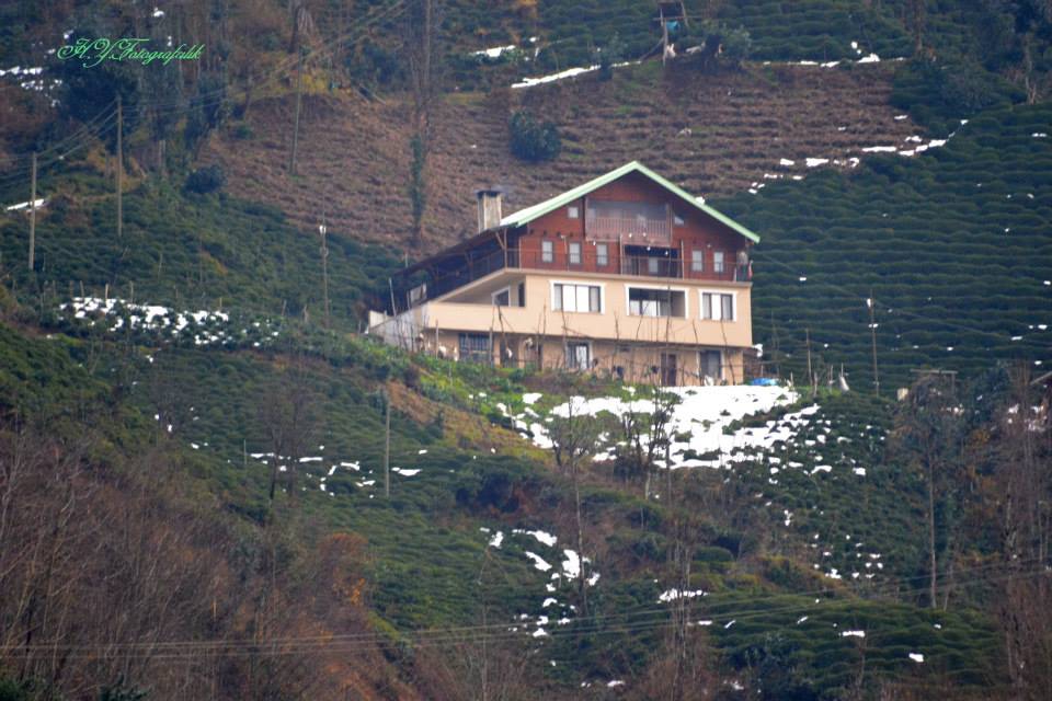 Çayeli Aşıklar Köyü Resimleri 2