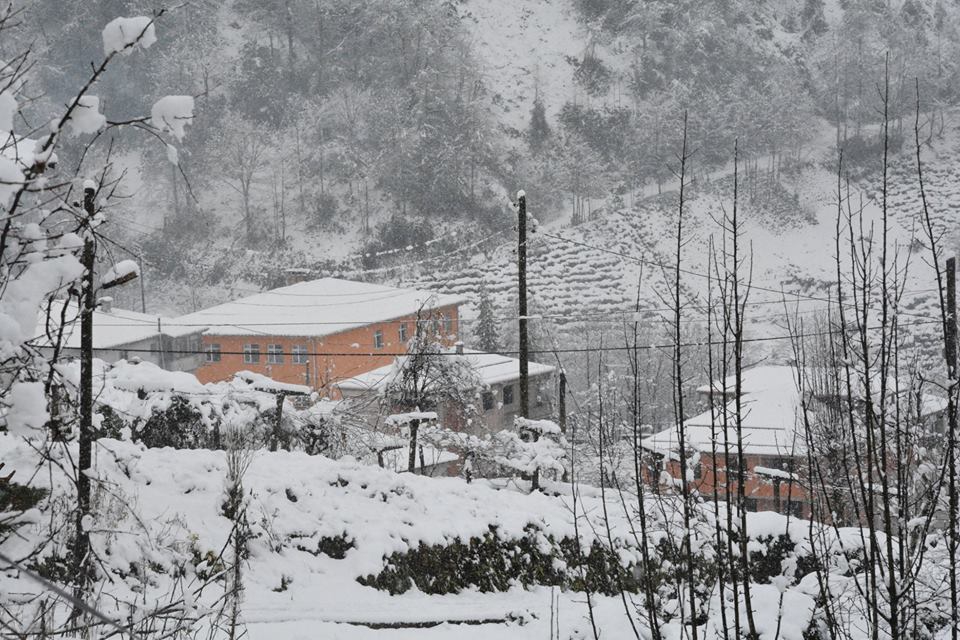 Çayeli Aşıklar Köyü Resimleri 4